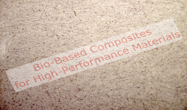Bio Based Composites for High Performance Materials